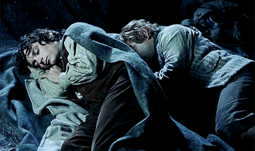frodo-sam: His love for Frodo rose above all other thoughts, and forgetting his peril he cried aloud