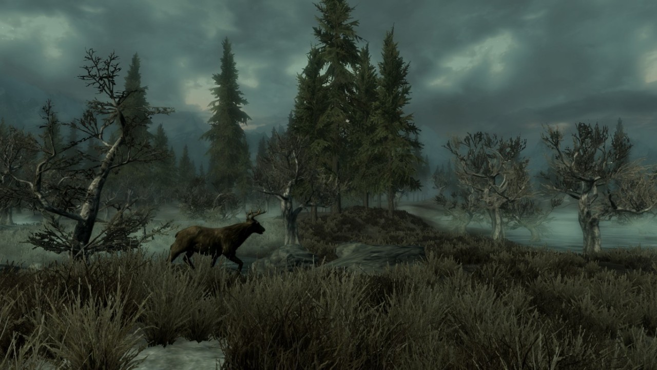 skyrim-photography:  Marshes Near Morthal- Skyrim-Photography  Requested by: thementorking