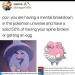 worldheritagepostorganization:zangoonse:chairman-rose-is-king:Good job I only have breakdowns near blisseysme: *sobbing and crying*the blissey that charged in from 5 miles away and broke into my house:World Heritage Post