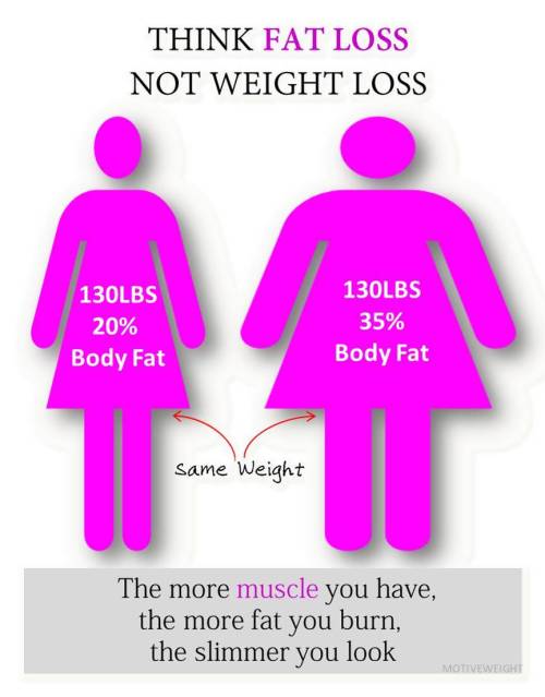 motiveweight:  Muscle tissue is more dense than fat (fat takes up about four times the space of musc