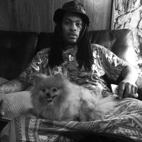 rocknrollercoaster:  Rappers with puppies. 