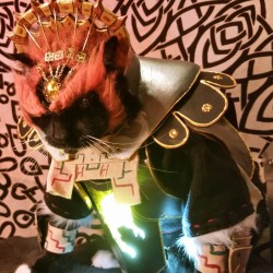 Cat-Cosplay:  “The Only Person You Are Destined To Become Is The Person You Decide