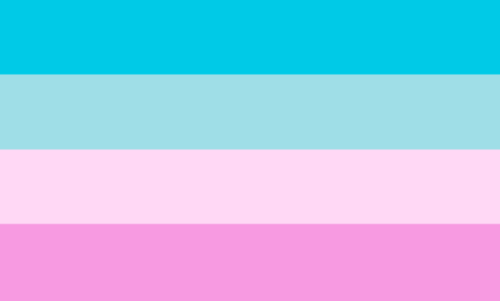 duwang-flags-inc: Crazy Diamond Pride Flags Order: Gay, Lesbian, Bi, Trans, NB, Pan, Polysexual, Ase