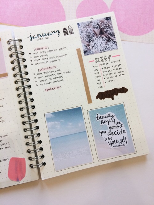 skiesandjournals: 14.01.17 1/100 days of productivity  so i’m finally gonna start my 100 days 
