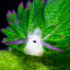 leaf-sheep