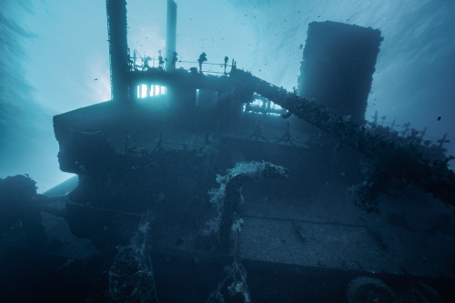 I spent a previous week on a liveaboard at the Red sea. We were exploring the world-class wreck divi