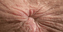 Fatfeministfetishist:  Kinkstertime:  Ofjoyy  :(