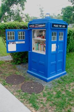  Tardis free library! 