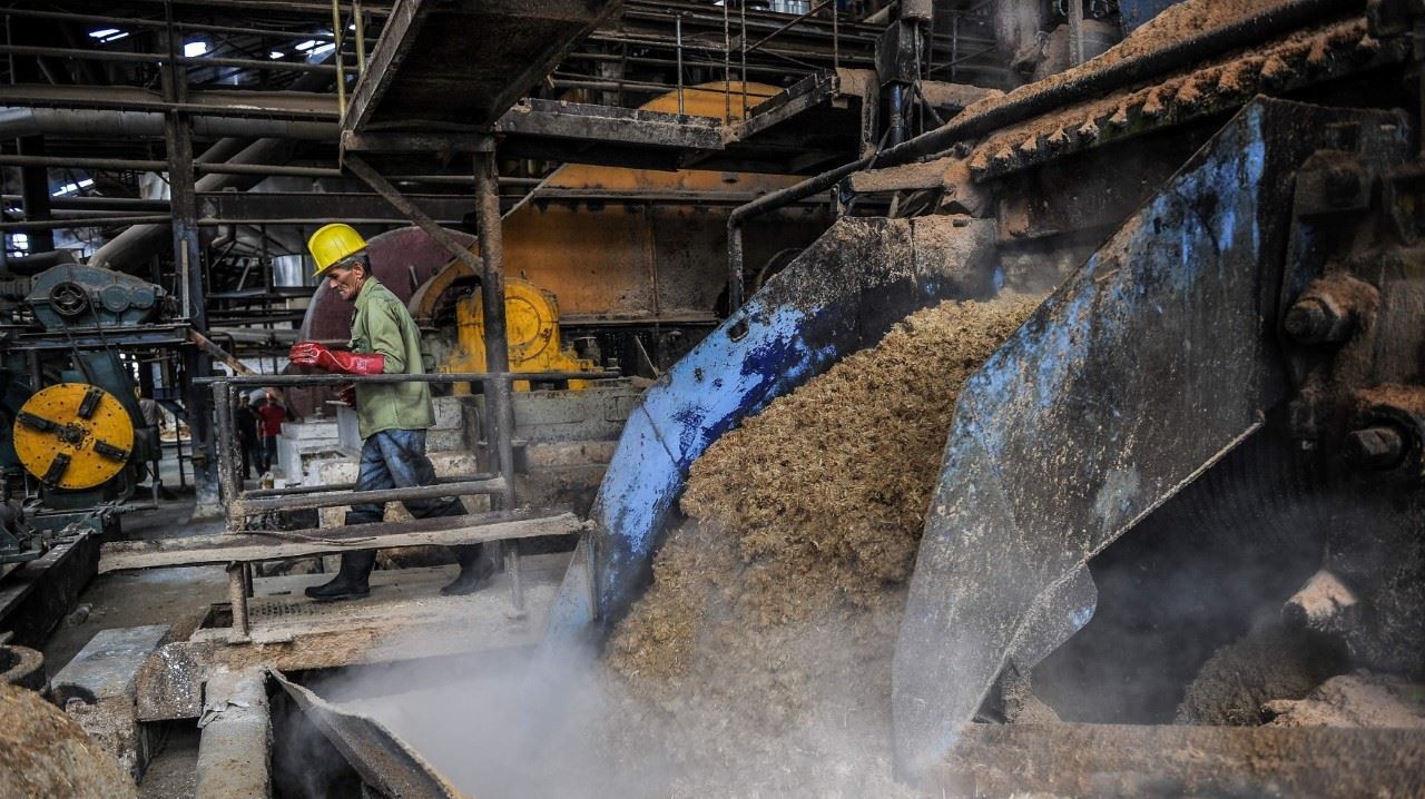 Las ruinas de la industria azucarera en Cuba.
El difícil renacer del azúcar, rey en Cuba.El país que hasta 1989 era uno los mayores proveedores de azúcar en el mundo intenta recuperar la industria tras la terrible crisis desatada por la caída de su...