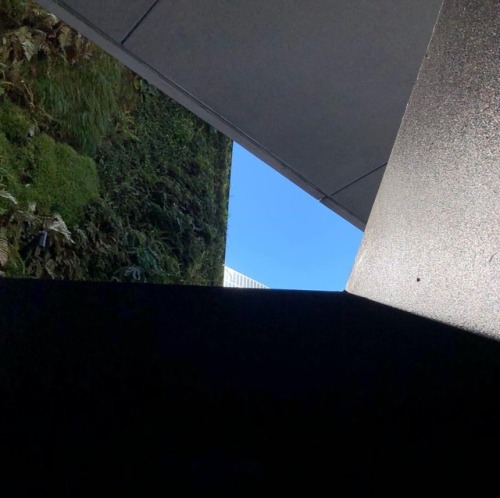 #lightandshadow (at Museum Of Modern Art, San Francisco) Https://www.instagram.com/p/Bs8X0fiAorJ/?utm_source=ig_tumblr_share&igshid=1istxmq6xaczq