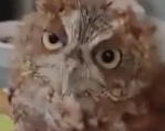 starfleetrambo:  this me waking up from a three hour nap tho