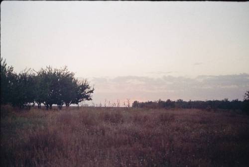 #filmphotography #filmphoto #landscape #scenery #village #trees #evening #sunset #likeforlike #photo