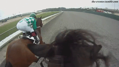princess-bee-and-the-schatze:  without-hope-with-humor:  the-eventer:  Racing loop!!