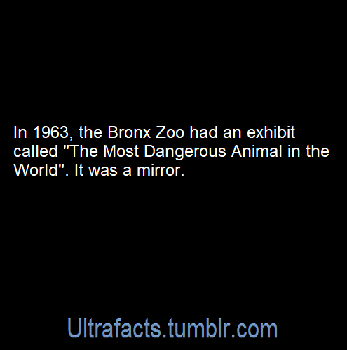 ultrafacts:  Source: [x]Click HERE for more facts!