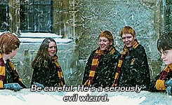stuckwith-harry:  gallifreyfallsnomorre:  should have been in the movie  #THIS. IS. BOOK. RON. 