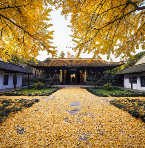 fuckyeahchinesegarden: 扬州  史公祠 Shi Kefa Ancestral House, Yangzhou City, China