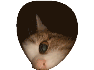 Meow?