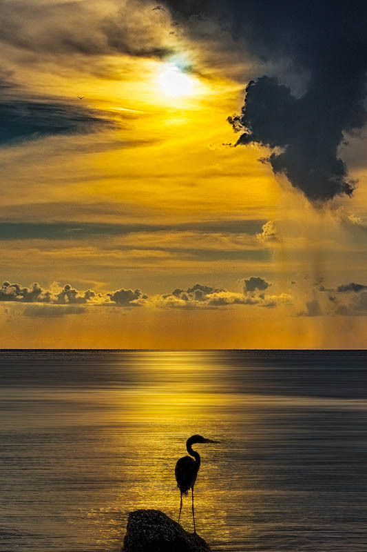 ponderation:  Florida Sunset by frank_delargy 