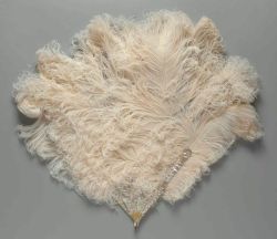 thestandrewknot:  French ostrich feathers