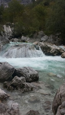 loudandclear:  i love how clear and pretty this river is 