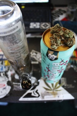 higheramerica:  Perfect Combo! 