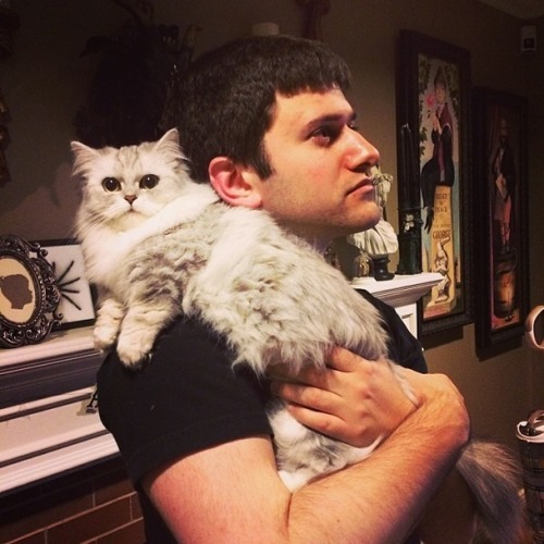 disheveledcollegeprick:  i can’t stop laughing at this picture of barry and arin’s