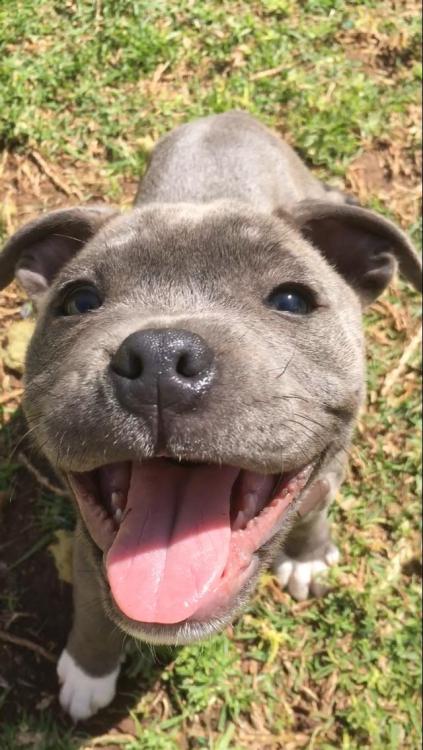 This is Arlo. He’s glad the sun is out today!