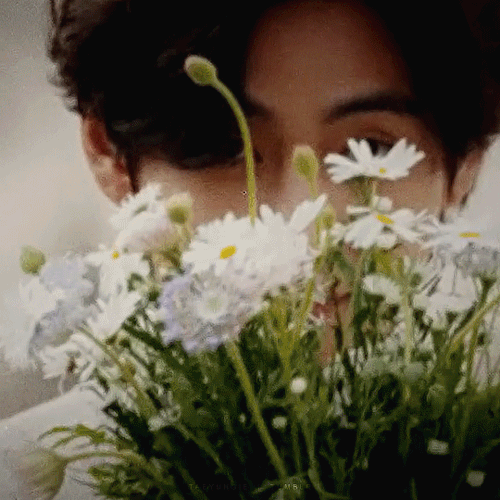 VEAUTIFUL DAYS Concept Film
