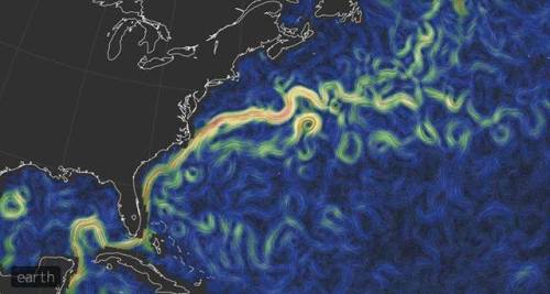 View the ocean&rsquo;s currents.Every five days the University of Seattle&rsquo;s OSCAR project uses