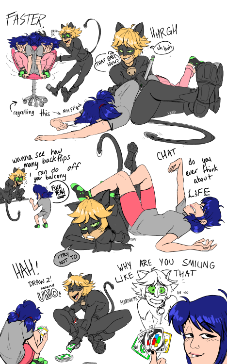 rileyclaw:my favourite brand of marichat . dumb and dumber 2