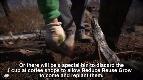 huffingtonpost:This Plantable Coffee Cup adult photos