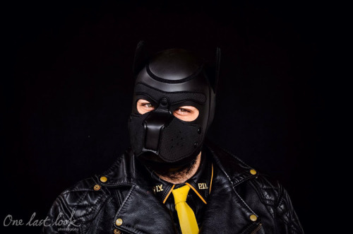 bearconcentrate:  Wow!!! My mate just has his neoprene dog hood arrive and did this quick photoshoot!Looks amazing… that is one hella sexy leather dog my friend!!!Love your gear @mrsleather   Woof!!!