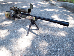 45-9mm-5-56mm:  (via TumbleOn)