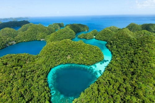 unicorn-meat-is-too-mainstream: Palau is an archipelago of about 250 islands, located in the western