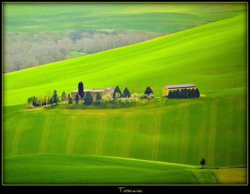 Toscana - thanks for 1.555.420 views by NPP-publik_oberberg-3mio views:-) on Flickr.