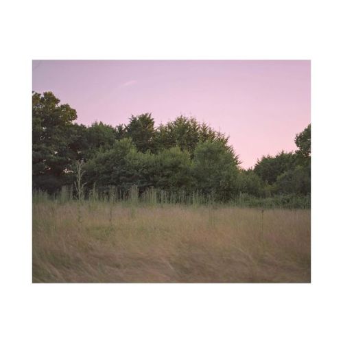 Summer evenings 2018  • •  • • • • • • #120film #landscape #filmphotography #mamiyarb67 #mamiyarbpro