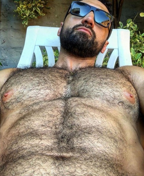 adammitchlove: These guys have the hairiest chests in the world. They are like hairy jungles. Which 