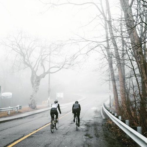 twocirclescycling: Foggy morning rides. . Repost @kristincamp Photo @vincntr #womenscycling #rideord