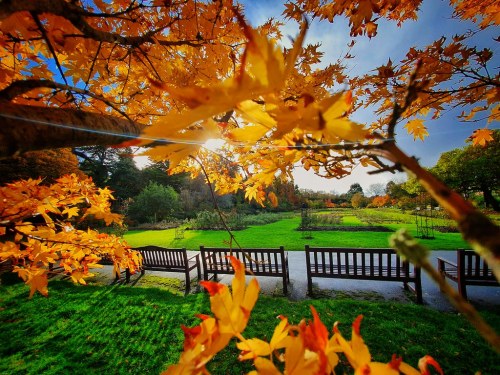 Roath Park, Cardiff  |  by Jerzy Szmit