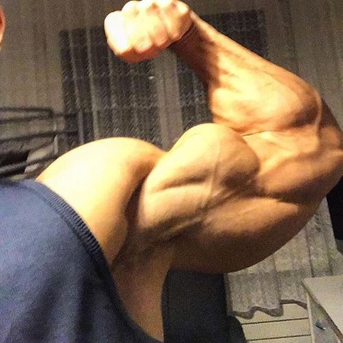beautifulyoungmuscle:  Enis Rexhepi: bountiful biceps (and everything else)!