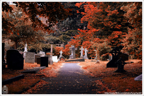 bookofoctober:Autumn Morgue series by lucypop (Old Brompton Cemetery, London)