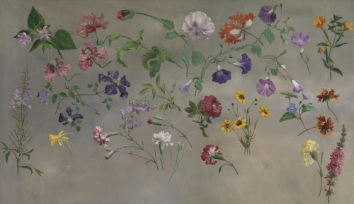 spoutziki-art: Jacques-Laurent Agasse, Studies of Flowers, 1848 Oil on canvas, Yale Center for Briti
