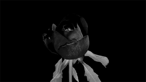 creepy-crypt:WELCOME TO HELL