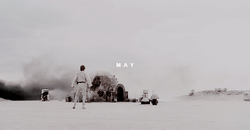 winchestheart: The Force will be with you. Always.