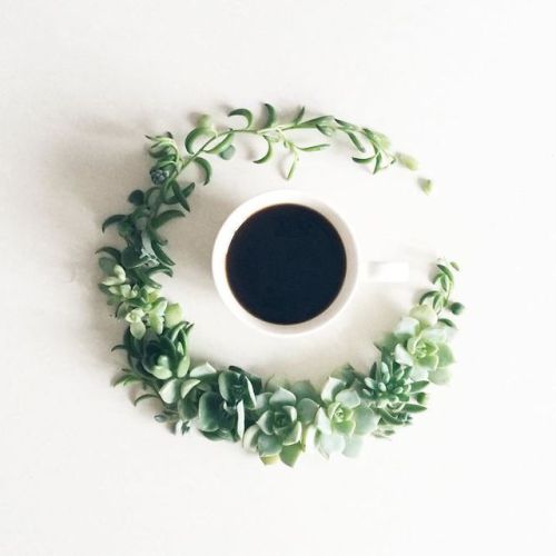 culturenlifestyle:Artist Who Combines Beautiful Flowers and Coffee in Poetic CompositionsSawa, who i