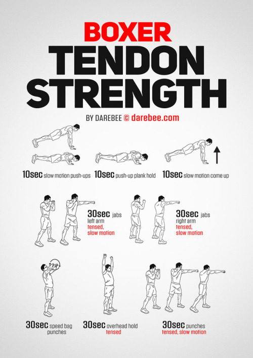 taichi-kungfu-online:    Strength workout porn pictures