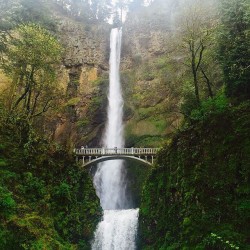 theshepdaddy:What’s your favorite waterfall?