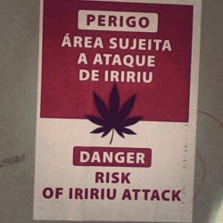 CUIDADO! #iririu #danger #weed #ufes #boatarde