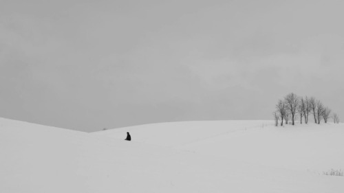 ilkel: November (2017 - Rainer Sarnet)