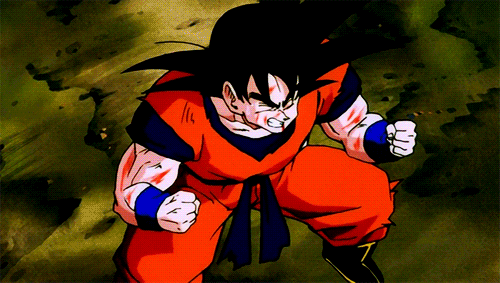 Tenkaichi Budokai